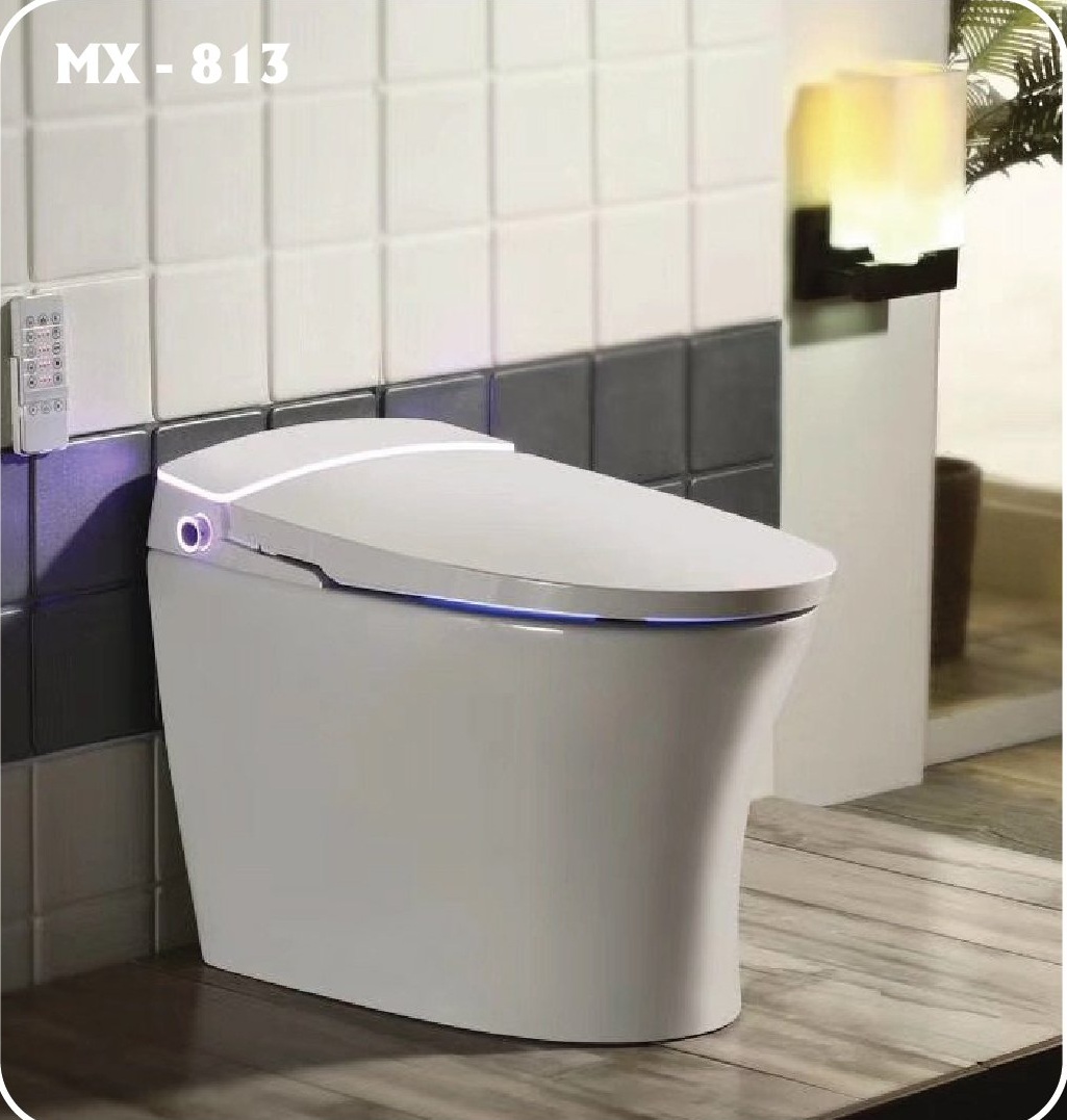 Bồn cầu thông minh MX - 813